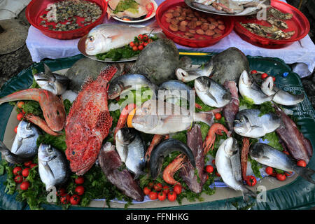 Frischer Fisch stall in Borgo Marina, Altstadt von Naples Stadt, Weltkulturerbe, Campania Region, Italien, Europa Stockfoto