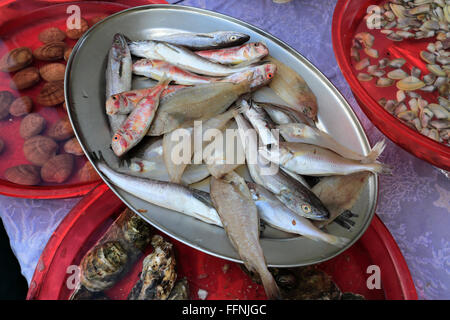 Frischer Fisch stall in Borgo Marina, Altstadt von Naples Stadt, Weltkulturerbe, Campania Region, Italien, Europa Stockfoto