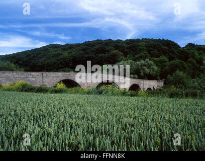 Kern-Brücke mit Kornfeld im Vordergrund Wye Valley Herefordshire England UK Stockfoto