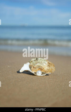 am Ufer des Meeres liegt mit gelbem Sand eine Schale mit einer Perle auf dem Hintergrund des Meeres und der Wellen Stockfoto