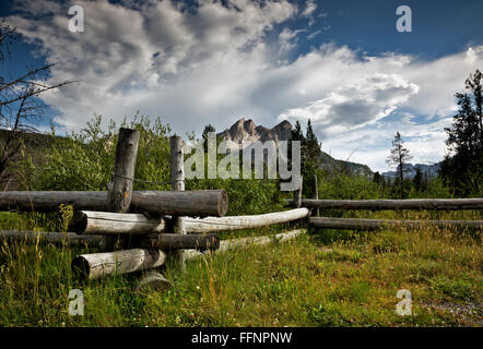 ID00271-00... IDAHO - McGown Peak aus den Wiesen entlang Stanley Lake Creek in den Sawtooth National Recreation Area. Stockfoto