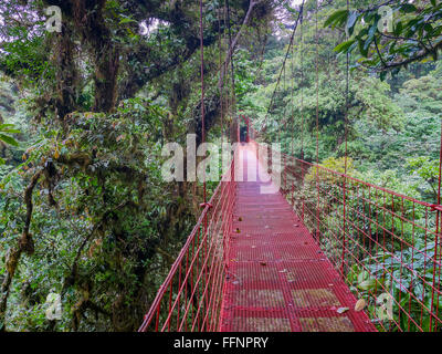 Trekkin Tour in Monteverde Stockfoto