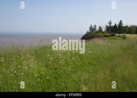 Klippen am Burncoat Kopf in Nova Scotia, Kanada. Sie blicken auf die Bay Of Fundy. Stockfoto