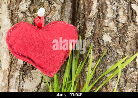 rotes Herz auf einer Baumrinde mit grass Stockfoto