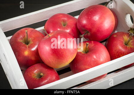 hölzerne Kiste voller frische reife rote Äpfel Stockfoto