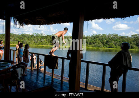 Besucher, die in Ecuador, Südamerika, in den Amazonasfluss springen Stockfoto