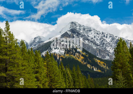 Mount ishbel, sawback, Banff Nationalpark, Alberta, Kanada Stockfoto