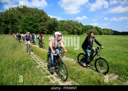 geführte Radtour GRUENES BAND in der Nähe von Volzendorf, Wendland, ehemalige Grenze zur DDR, Niedersachsen, Deutschland, Europa Stockfoto