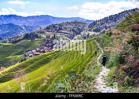 Pfad in Dragon Backbone Reisterrassen. Longji. China Stockfoto