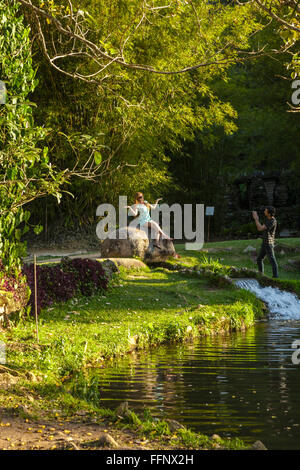 Botanischer Garten. Rio De Janeiro. Brazilien Stockfoto