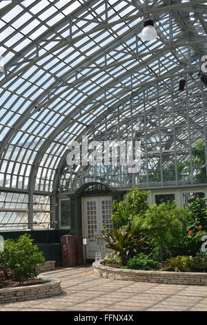 Die Glasscheiben innen Garfield Park Conservatory auf Chicagos in der Nähe von Westseite. Stockfoto