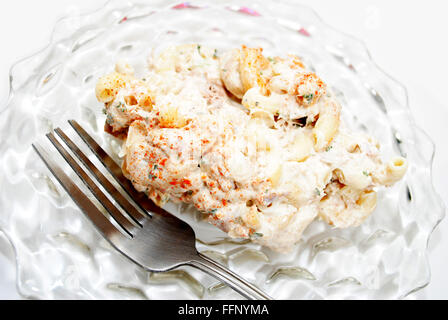 Makkaroni Salat mit Thunfisch und Mayo Stockfoto