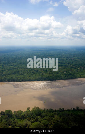 Luftaufnahme des Amazonas in Ecuador Stockfoto