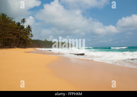 Tropischer Strand mit Palmen und Meer. praia Jale, Sao Tome und Principe. Stockfoto