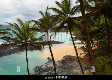 Tropischer Strand mit Palmen und makellosen blauen Meer. praia Piscina, Sao Tome und Principe. Stockfoto