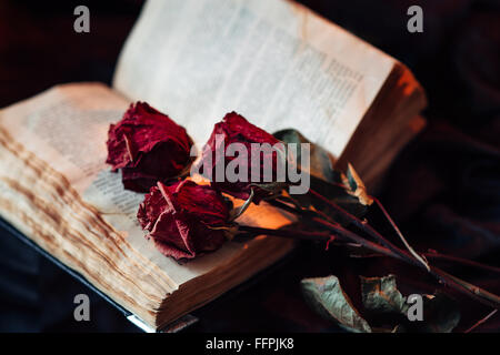 Stillleben mit Rosen und altes Buch Stockfoto