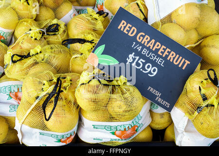 Florida South, Fort Ft. Drum Service Plaza, Turnpike, Autobahn, Mautstraße, Rasthaltestelle, rote Grapefruit, Verkaufsbuschels anzeigen, FL151209007 Stockfoto