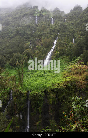 Wasserfälle, Cascade du Voile De La Mariee in Salazie, Cirque de Salazie, Reunion, Frankreich Stockfoto