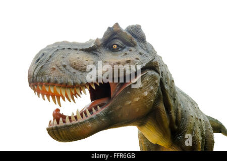 Aggressive T Rex Modell von Dinosauriern auf weißem Hintergrund. Stockfoto