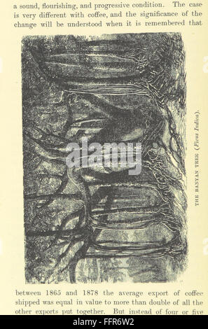 „Ceylon in 1893“ ist ein Jahrgang über die Insel Ceylon (heute Sri Lanka) im späten 19. Jahrhundert. Das Buch bietet Einblicke in die sozialen, kulturellen und geografischen Aspekte Ceylons während dieser Zeit und erfasst seine Kolonialgeschichte und die vielfältigen Landschaften. Stockfoto