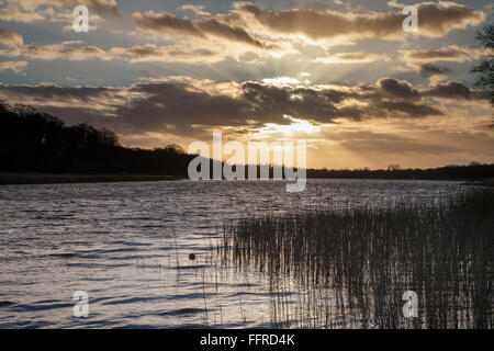 Sonnenuntergang über Ormesby breit in Norfolk Stockfoto