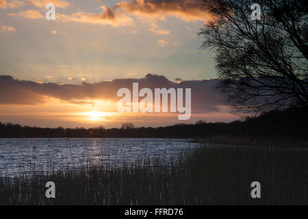 Sonnenuntergang über Ormesby breit in Norfolk Stockfoto