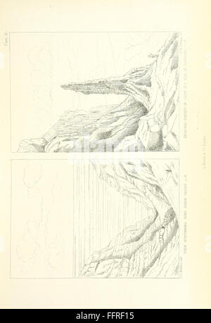 01 der "St. Helena; eine physische, historische und topographische Beschreibung der Insel... Die botanische Platten aus original Stockfoto