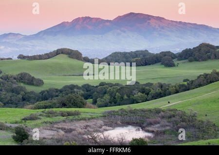 Sonnenuntergang über grasbewachsenen Hügeln und Diablo Range of Northern California Stockfoto