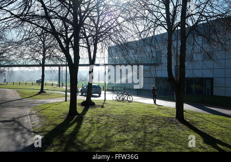 Sainsbury Centre, Uea, Norwich, Norfolk, england Stockfoto