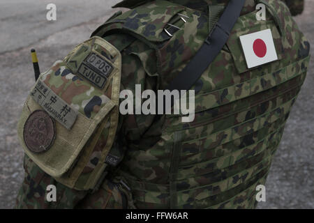 Phla, Rayong, Thailand. 17. Februar 2016. Japanischer Soldat steht Wache während mock zivilen Evakuierung Credit: Adryel Talamantes/ZUMA Draht/Alamy Live News Stockfoto