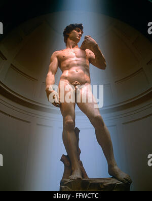 Statue des David von Michelangelo in der Galeria Dell Accademia, Florenz, Toskana, Italien Stockfoto