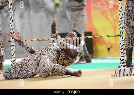 Bangkok, Thailand. 17. Februar 2016. Ein kenianischer Schauspieler führt während eine akrobatische Show im Dusit Zoo in Bangkok, Thailand, 17. Februar 2016. Bildnachweis: Rachen Sageamsak/Xinhua/Alamy Live-Nachrichten Stockfoto