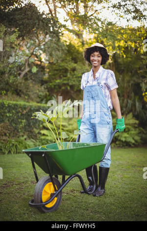 Lächelnde Frau drücken Schubkarre Stockfoto