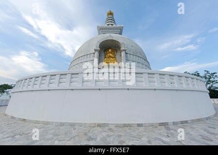 Goldene Buddha-Statue am Vishwa Shanti Stupa, Rajgir, Bihar, Indien Stockfoto