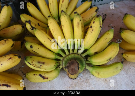 Lady-Finger oder Zucker Bananen, Musa Acuminata, Reife Früchte auf einem Marktstand, Bangkok, Thailand Stockfoto