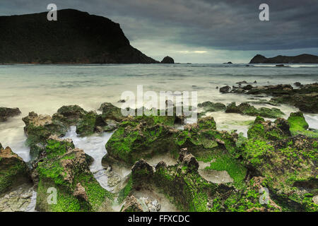 Neds Beach an einem trüben Morgen Stockfoto