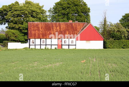 Alte Scheune auf der Insel Bornholm. Dänemark Stockfoto