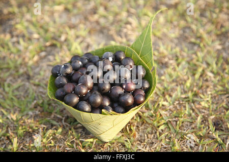 Obst, Karonda Karwanda Carissa Carandas in konischen Blatt Behälter aufbewahrt Stockfoto
