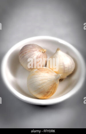 Gewürze, mono Knoblauchzehe in Schüssel auf grauem Hintergrund Stockfoto