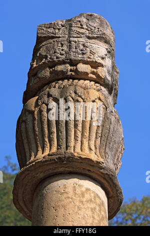 Spalte oder Khamb Baba errichtet 150 v. Chr. von griechischen Heliodoros zu Ehren des Gottes Vasudeva befindet sich in der Nähe von Vidisha Bhopal Madhya Pradesh Stockfoto