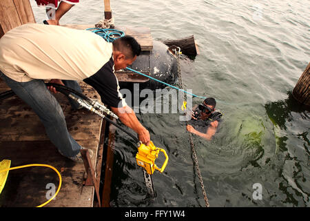 Unterwasser einloggen Lago Bayano, Panama - Motorsäge Handhabung, sind sie Druckluft angetrieben. Stockfoto