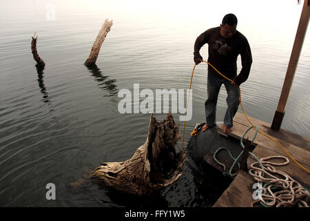 Unterwasser Lago Bayano einloggen, wird Panama - Tiefe anhand der Druckluftschlauch als Lead Linie. Die Taucher-Logger Stockfoto