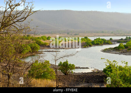 Ken-Fluss fließt Panna Nationalpark Madhya Pradesh, Indien Stockfoto