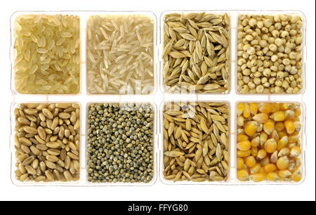 Essen-Körnern Reis Gerste Jowar Weizen Bajra Paddy Reis und Mais in quadratische Schale; Indien Stockfoto