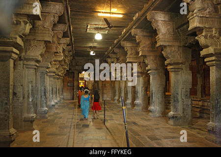 Stein Spalten Hall der Brihadishwara-Tempel Vishwakarma Tamil Nadu, Indien Stockfoto