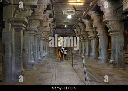 Granit Stein Spalten Hall der Brihadishwara-Tempel Vishwakarma Tamilnadu Indien Stockfoto