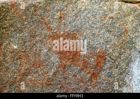 Prähistorische Felszeichnungen in Hampi, Karnataka, Indien Stockfoto