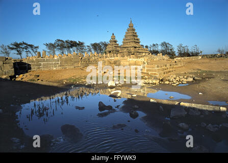 Shore Tempel; Mahabalipuram Mamallapuram; Tamil Nadu; Indien Stockfoto