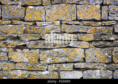Flechten wachsen auf einer alten Steinmauer. Stockfoto