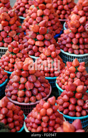 Obst, Erdbeeren Fragaria Ananassa zum Verkauf in blauen Korb Stockfoto